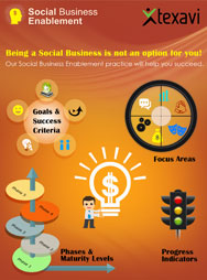 Texavi Social Business Maturity Model Brochure