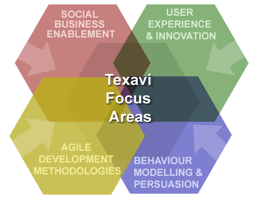 Texavi Focus Areas