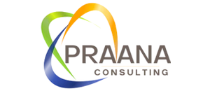 Praana Consulting